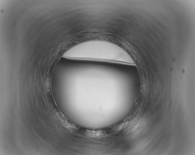 X0000087420469200704201050