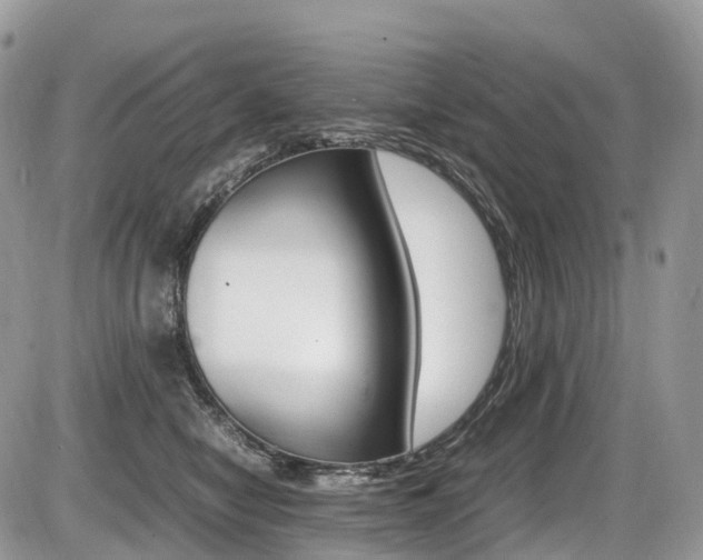 X0000087420470200704201050