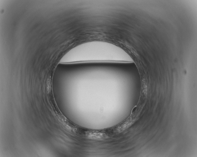 X0000087420471200704201050