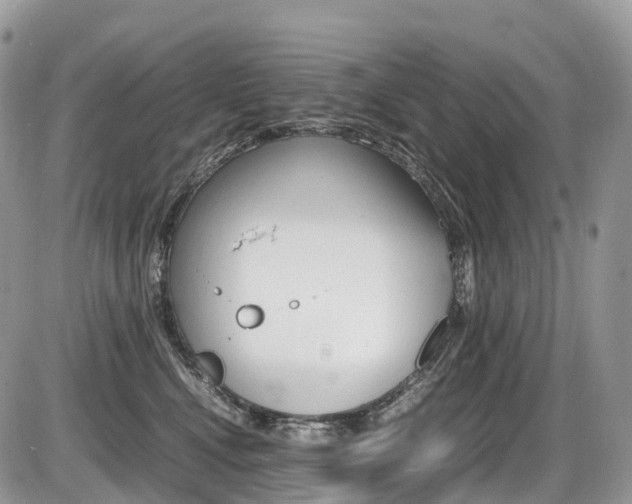 X0000087420472200704201050