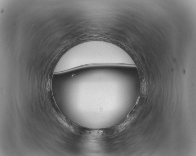 X0000087420474200704201050