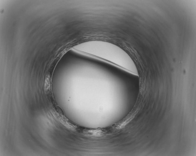 X0000087420478200704201050