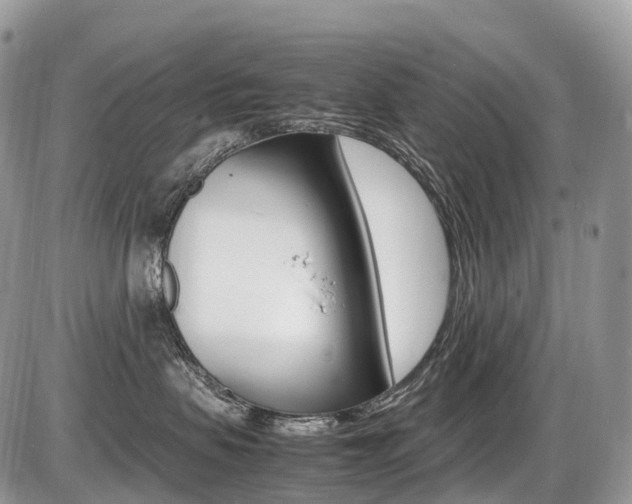 X0000087420479200704201050