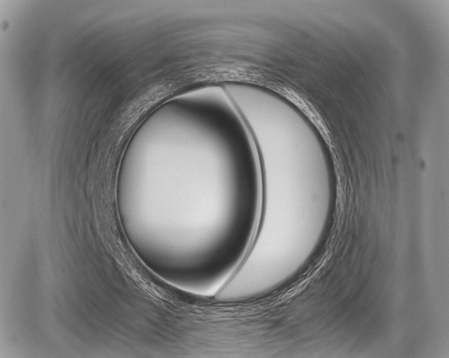 X0000087420481200704201049