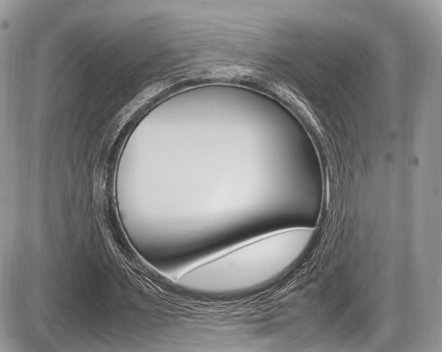 X0000087420483200704201049