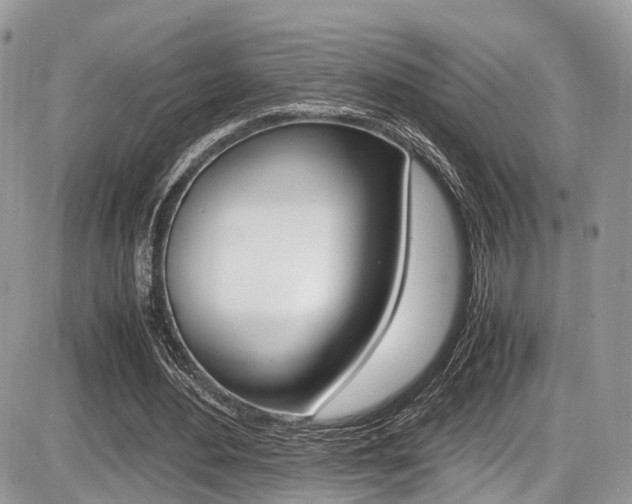 X0000087420484200704201049