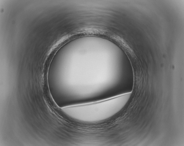 X0000087420488200704201049