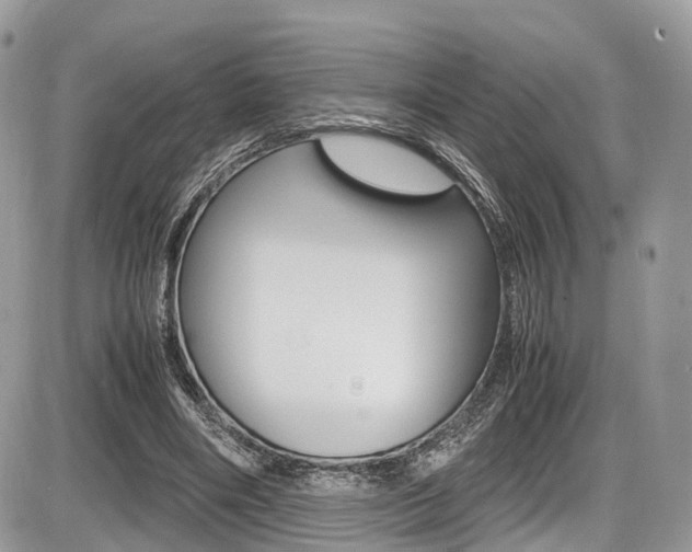 X0000087420490200704201049