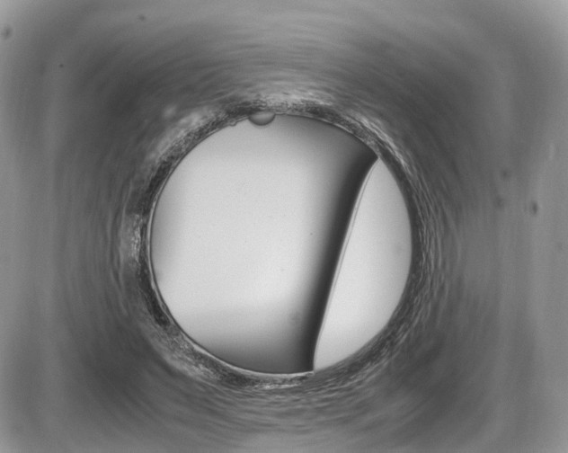 X0000087420495200704201049