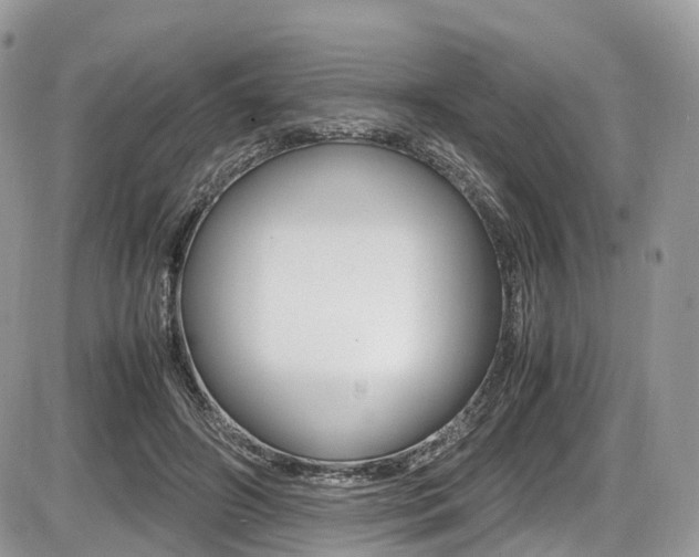 X0000087420498200704201049