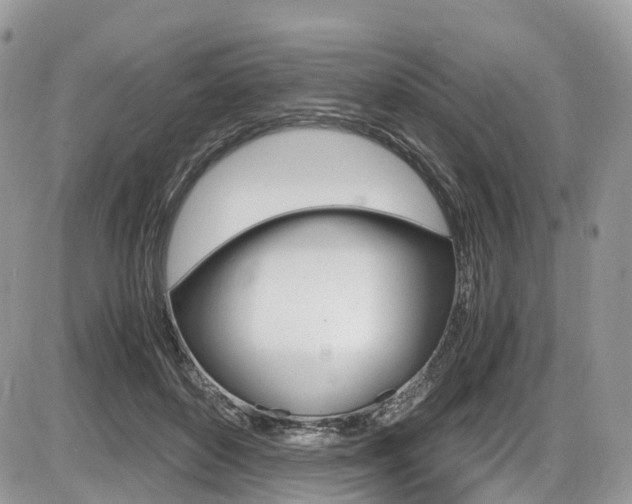X0000087420504200704201049