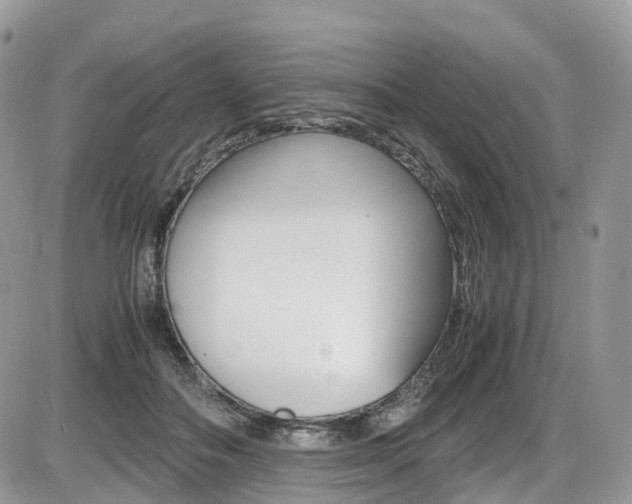 X0000087420506200704201049