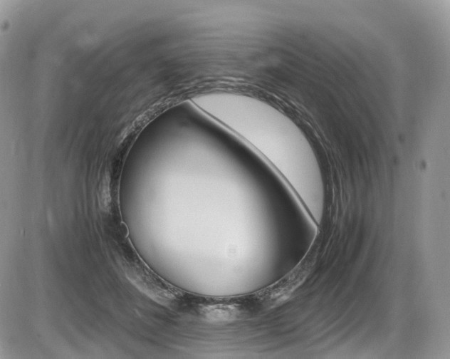 X0000087420508200704201049