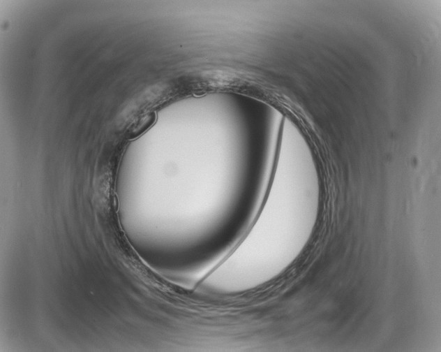 X0000087420509200704201049