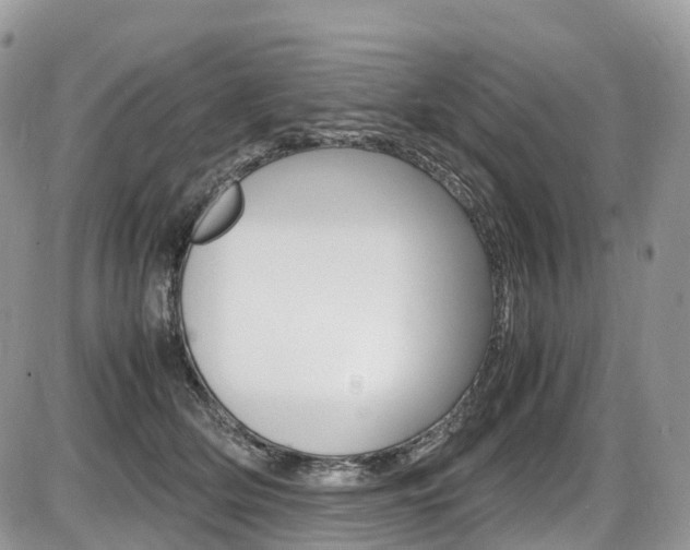 X0000087420514200704201049