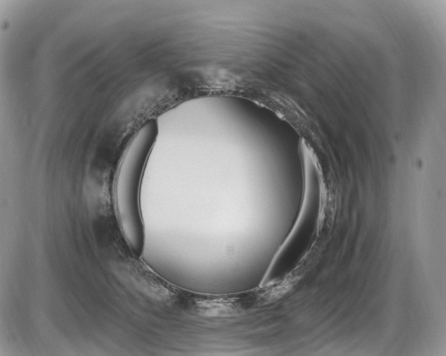 X0000087420516200704201049