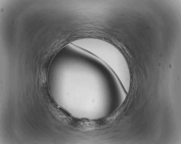 X0000087420517200704201049