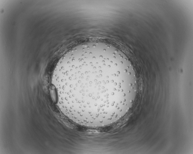 X0000087420519200704201049