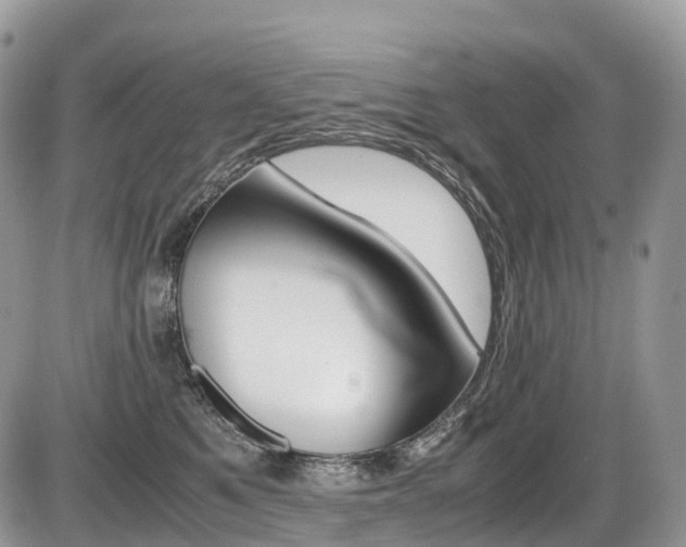 X0000087420521200704201049