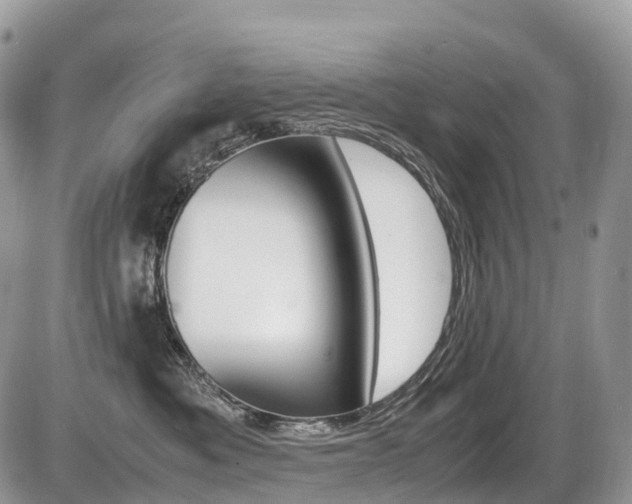 X0000087420525200704201048