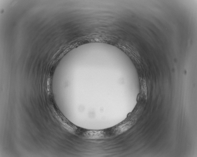 X0000087420526200704201048