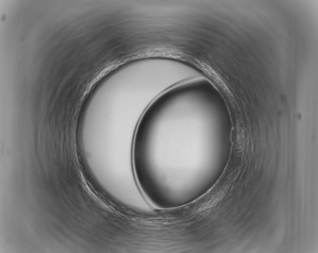 X0000087420530200704201048