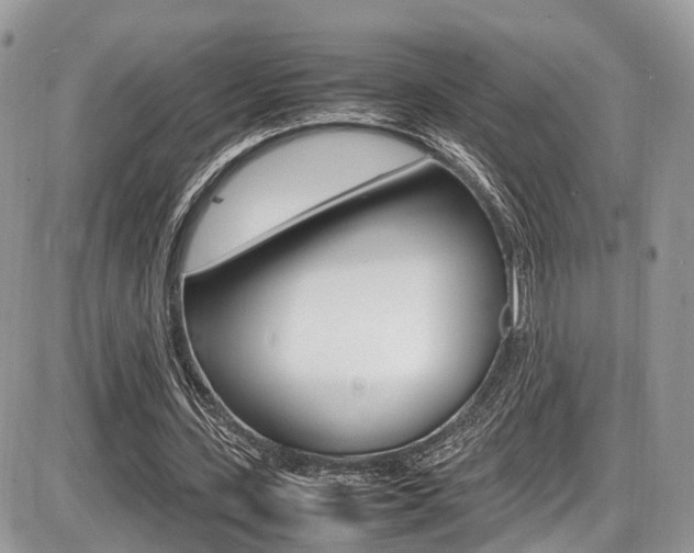 X0000087420531200704201048