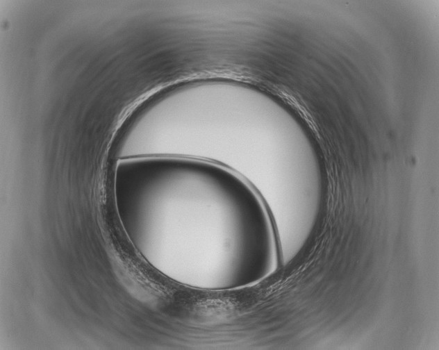 X0000087420536200704201048