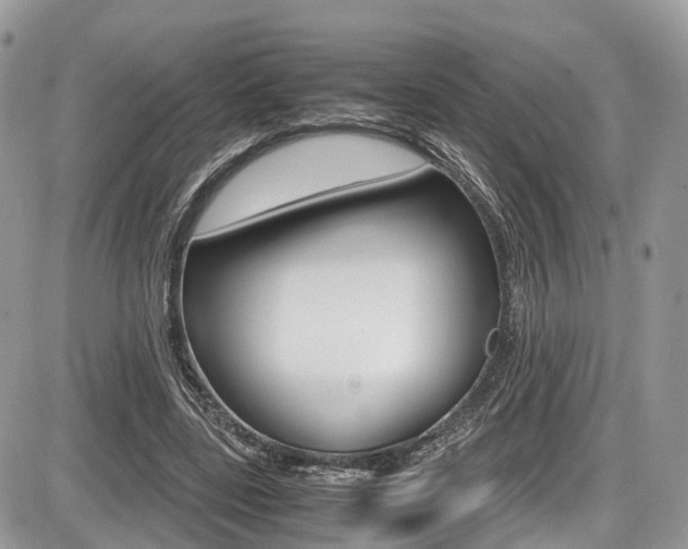 X0000087420539200704201048