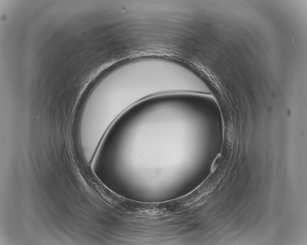 X0000087420540200704201048