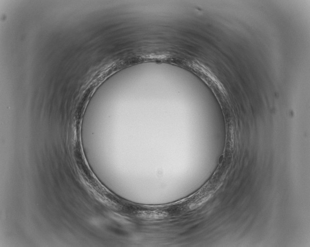 X0000087420541200704201048