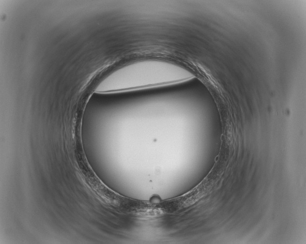 X0000087420543200704201048