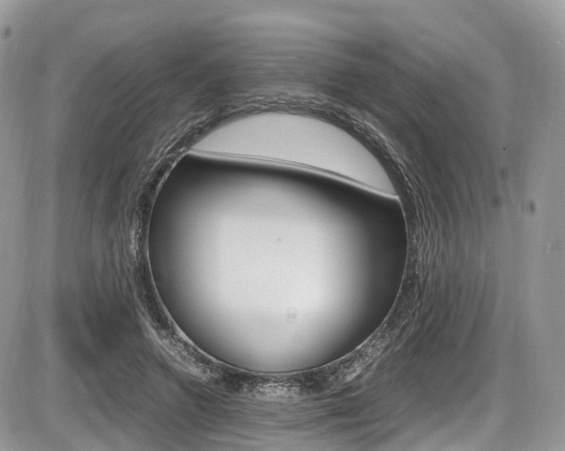 X0000087420546200704201048