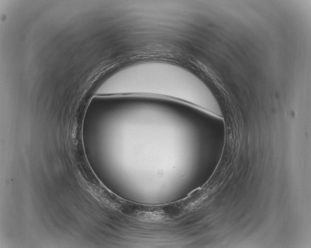 X0000087420548200704201048