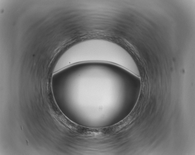X0000087420552200704201048