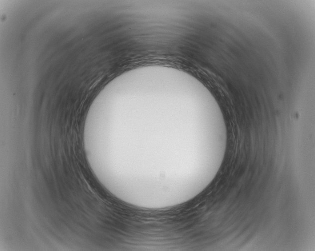X0000087420560200704201048