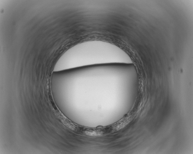 X0000087420561200704201048