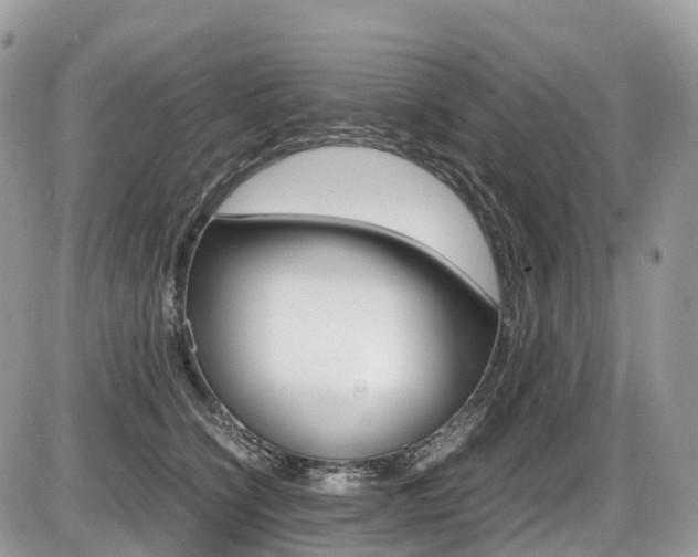 X0000087420564200704201048