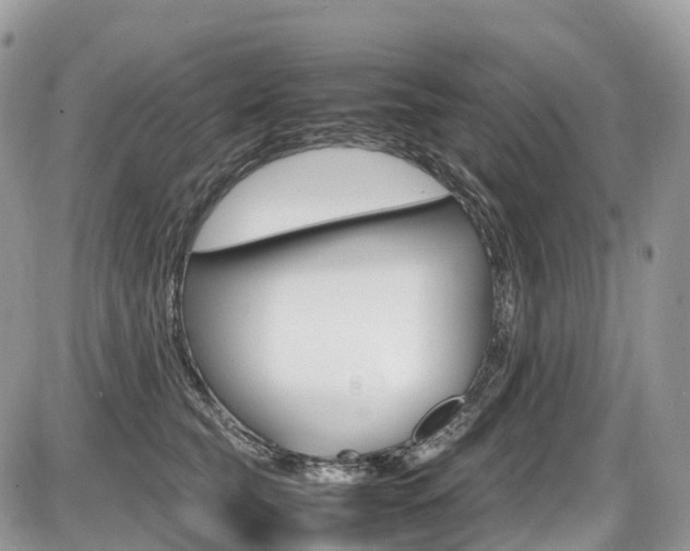 X0000087420565200704201048