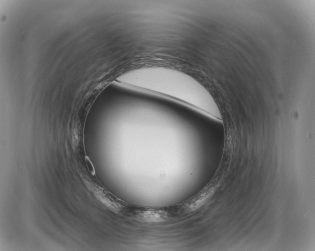 X0000087420566200704201048