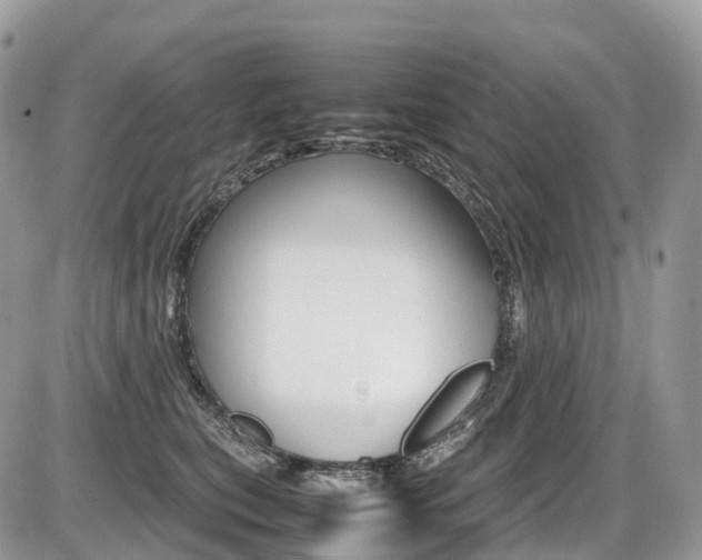 X0000087420567200704201048
