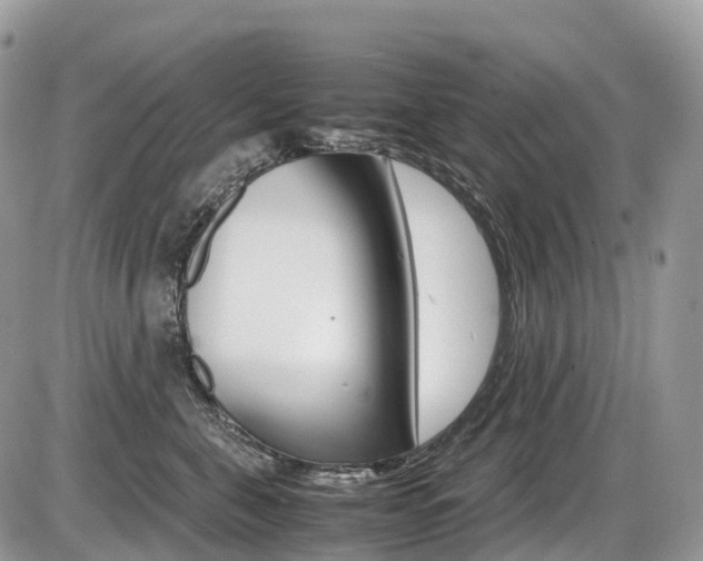 X0000087420571200704201048