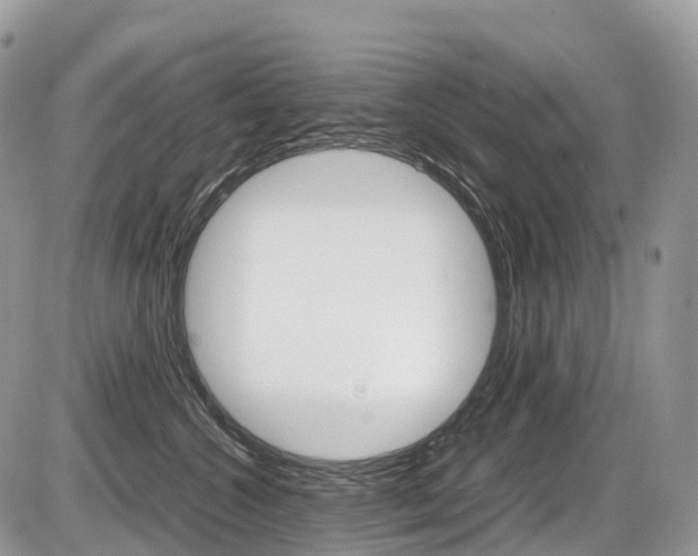 X0000087420572200704201048
