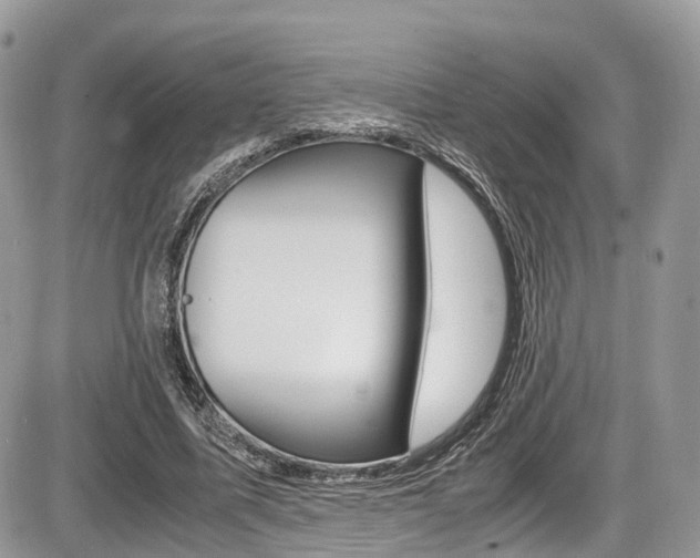 X0000087420587200704201047
