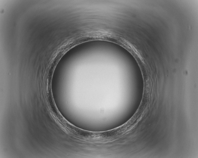 X0000087420589200704201047