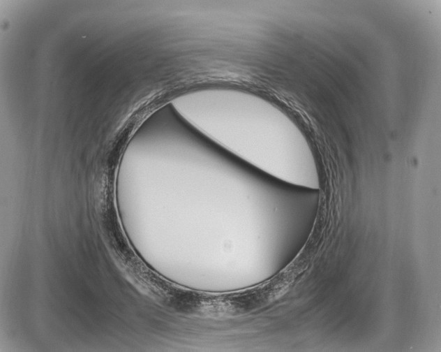 X0000087420591200704201047