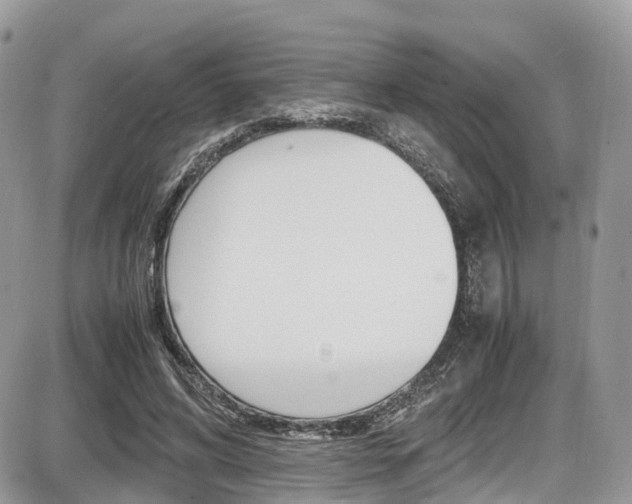 X0000087420592200704201047
