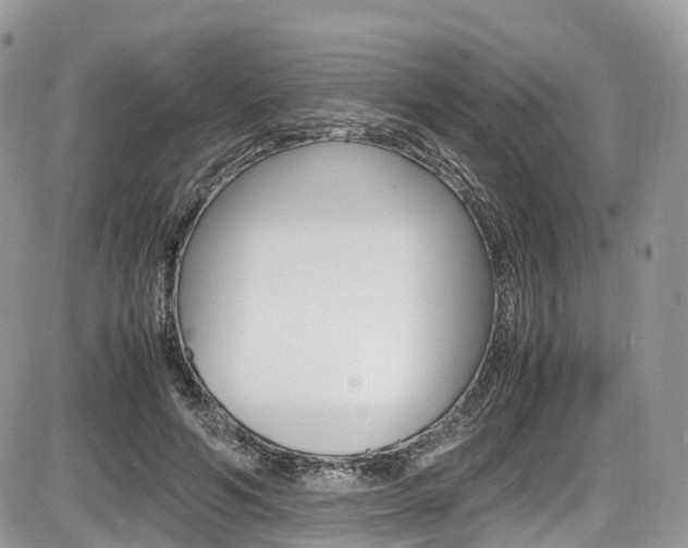 X0000087420594200704201047