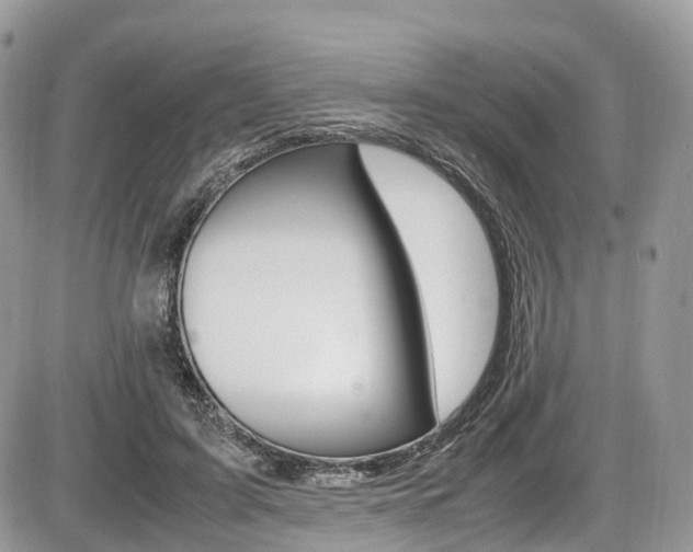 X0000087420595200704201047
