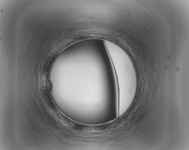 X0000087420597200704201047